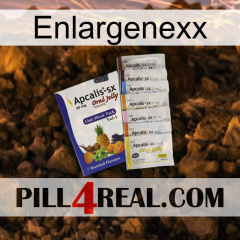 Enlargenexx 11